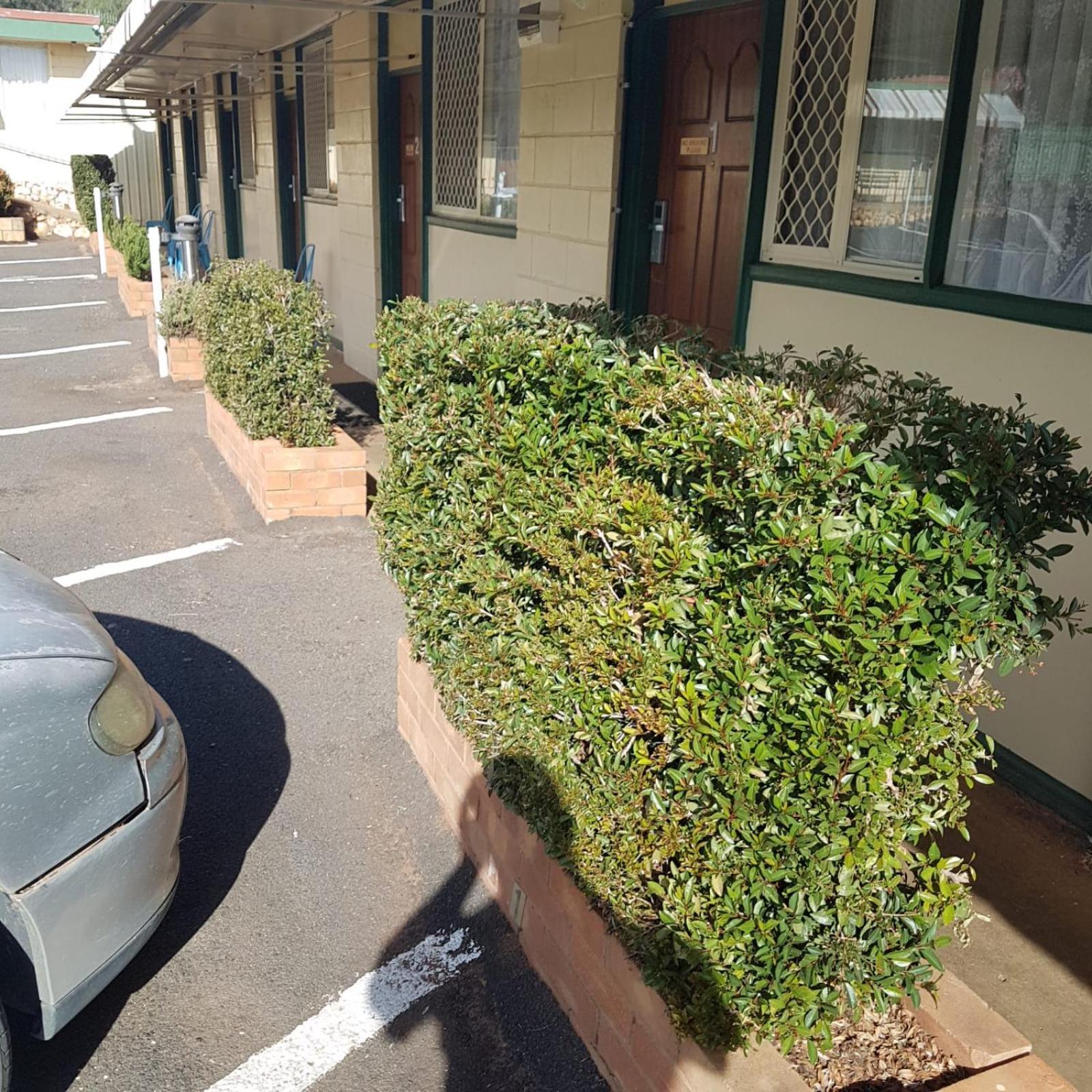 Peak Hill Golden Peak Motel Peakhill المظهر الخارجي الصورة