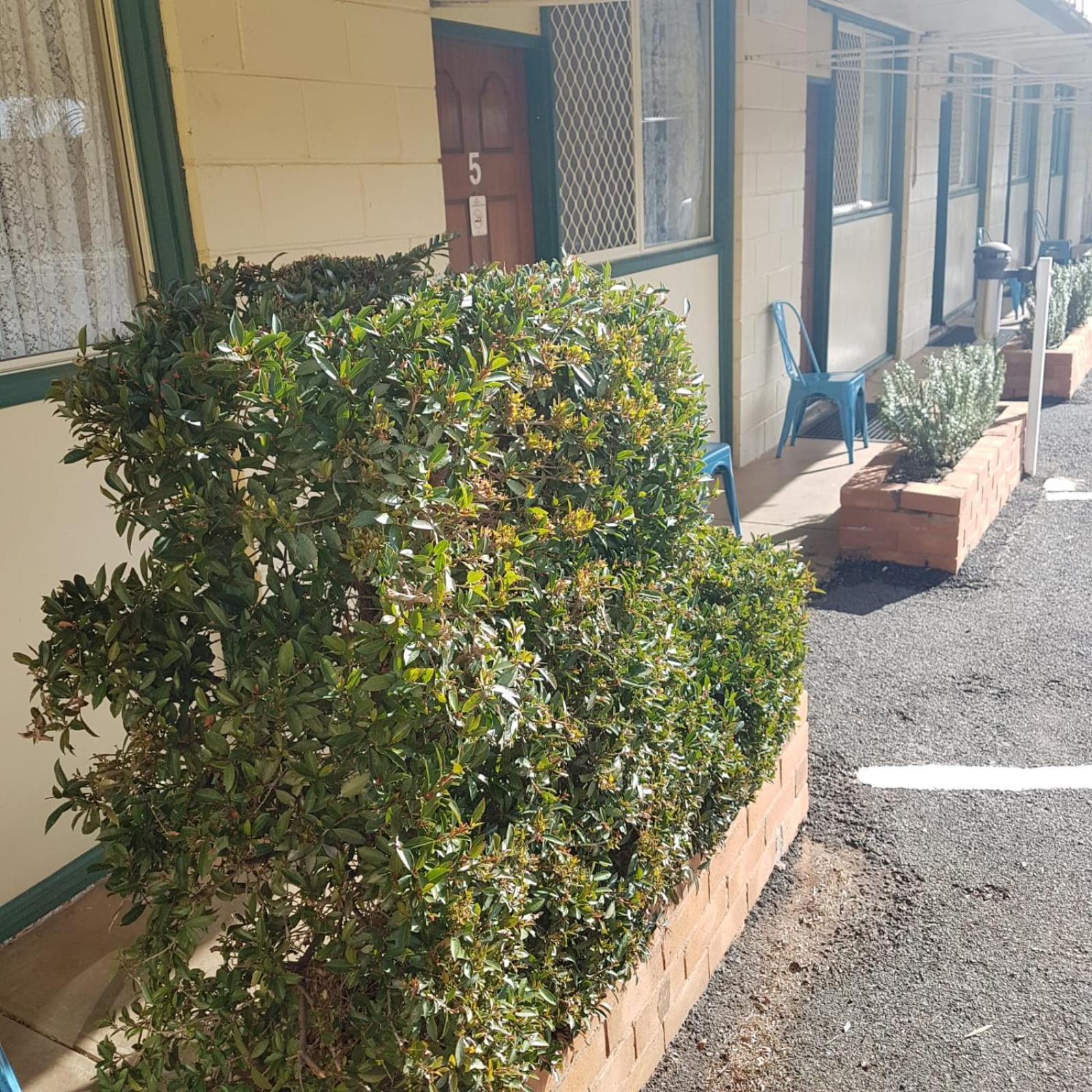 Peak Hill Golden Peak Motel Peakhill المظهر الخارجي الصورة